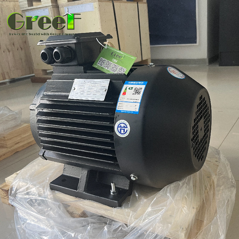 220V 750W-5MW Drehmoment Permanenter Magnet Elektromotor mit variabler Frequenzantrieb