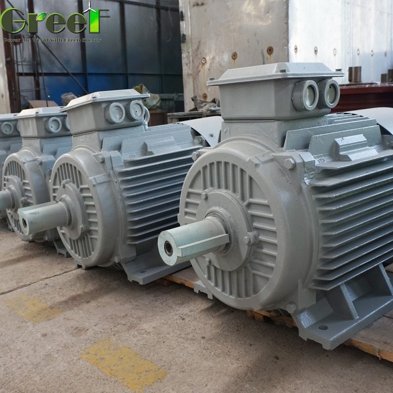 10kW Permanentmagnet-Generator, kundenspezifische Nennspannung, 20 U/min - 3000 U/min, Nennrotation, Heimgebrauch für Windkraftanlage, Wasserturbine