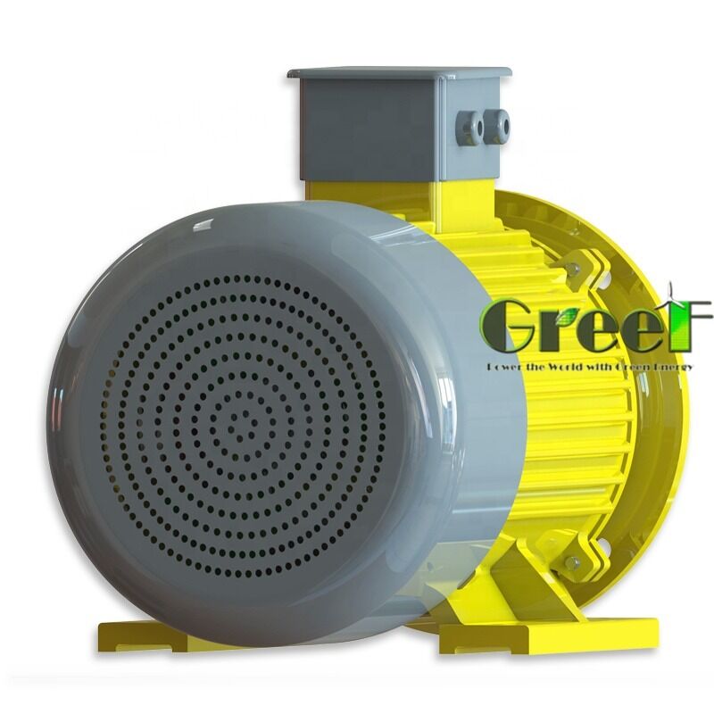 50HZ- und 60HZ-Permanentmagnetmotor mit 100 MOhm min. 500 VDC Isolationswiderstand und 6 Polen für Industriesysteme