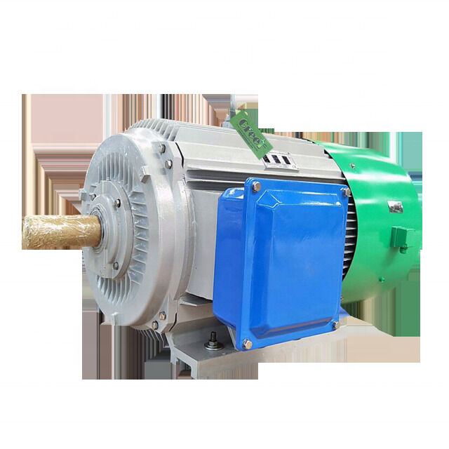 NdFeB Magnet Type Brushless DC Motor Permanent Magnet Motor Insulate Grade H Engineered for Operation in Harsh Environments