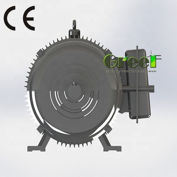 SKF-Lager mit Bürstenlosem Permanentmagnetmotor mit NdFeB-Magnettyp Ideal für Robotik mit erneuerbarer Energie und industrielle Antriebe