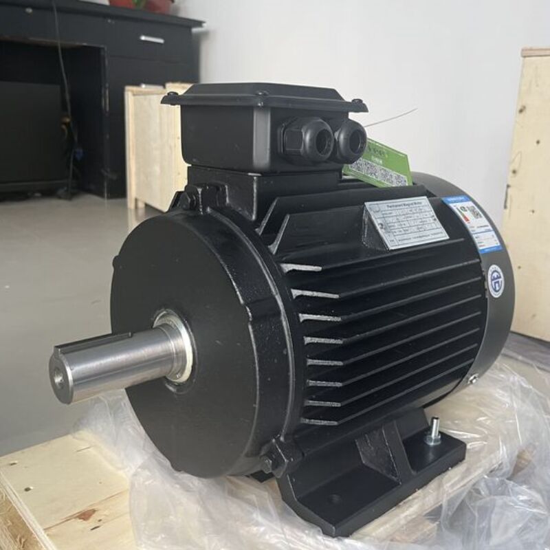 SKF Lager Permanentmagnetmotor 750W-5MW Bürstenloser Gleichstrommotor für die industrielle Automatisierung