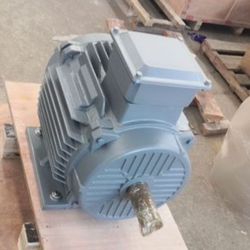 24V-1140V Bürstenloser Permanenter Magnetmotor mit IP54-Klassifizierung für Automationsmaschinen und Energielösungen