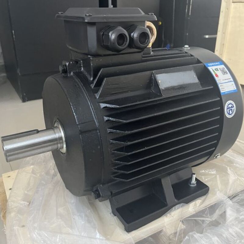 Anpassung Anzahl der Stangen Magnetmotor Spannung 24V 1140V Kompatibel mit einer breiten Palette von Industrieanlagen