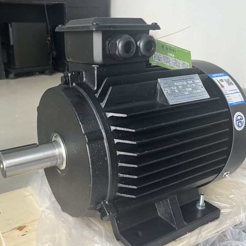 500 W bis 5.000 kW Permanentmagnetmotor, individuelle Anpassung der Spannung, Drehzahlbereich 20 bis 3.000 U/min, ideal für industrielle Anwendungen