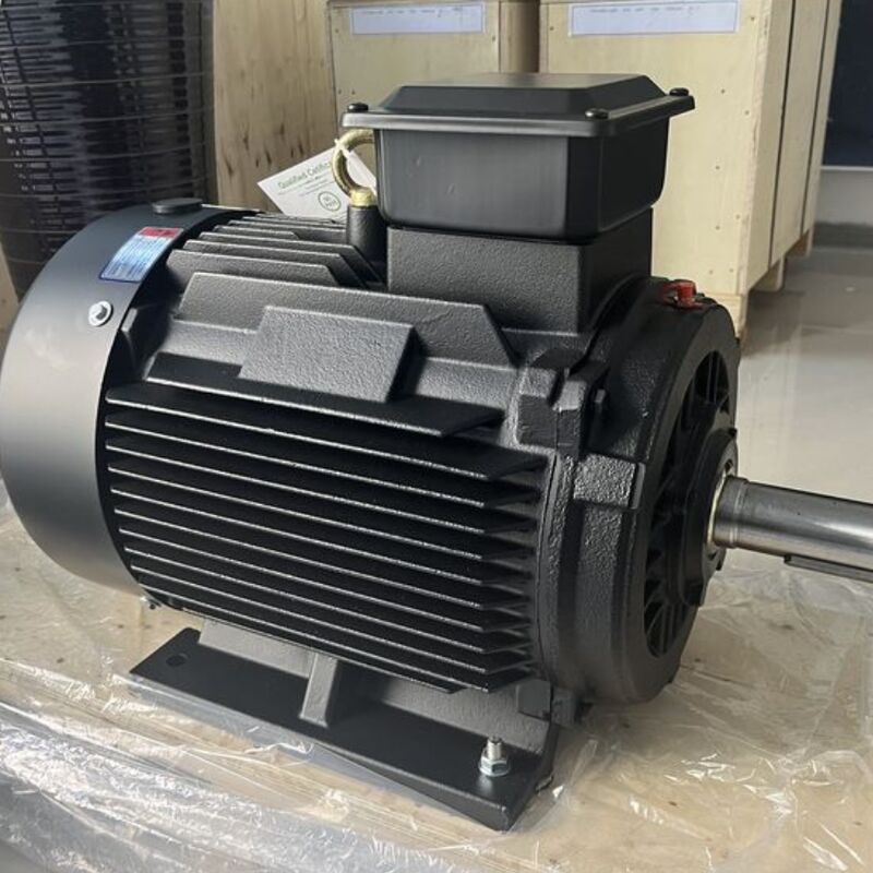 Hocheffizienter Permanentmagnetmotor mit 100MOhm min. Isolationswiderstand, anpassbaren Polen und SKF-Lager