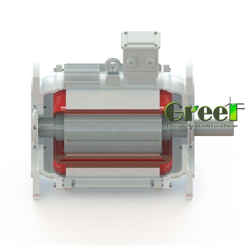 6 Pole Permanent Magnet Motor with SKF Bearing and High Efficiency (>95%) for Electric Vehicles