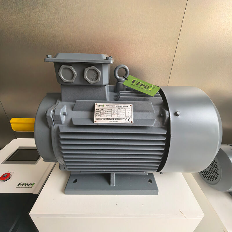 12VAC bis 1140VAC Permanentmagnetgenerator mit Lüfterwasser-Selbstkühlung und IP54-Klassifizierung