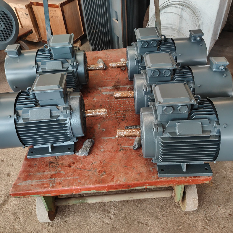 Permanentmagnet-Synchronmotor mit geringer Temperaturerhöhung, Isolationsklasse F und Schutzart IP55
